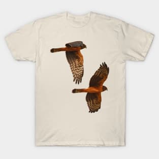 Harrier Hawks T-Shirt